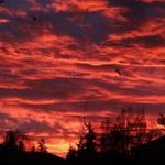 blocking the sky you 下载 资源封面