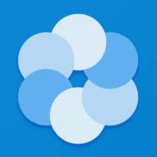 bluecoins for pc