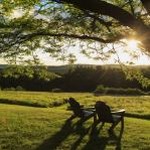bring you home game 资源封面