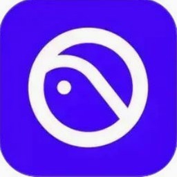 recoleta bold 资源封面