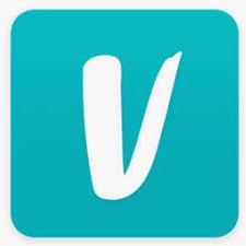 vinted举报器汉化 资源封面