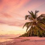 песня sunrise at paradise beach 资源封面