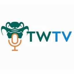 twtv下载器