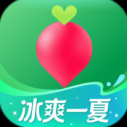 叮咚买菜电脑版登录