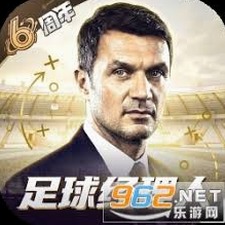 梦幻足球经理下载国际稳定版 资源封面