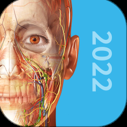 人体内脏3d解剖下载百度云