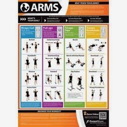 arms公认反洗钱师 资源封面