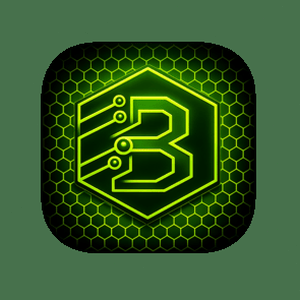 b2b 意思