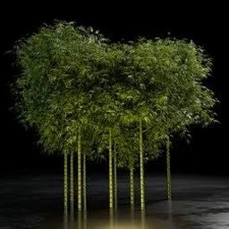 bamboo garden官网软件 资源封面