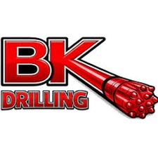 bk下载安装汉化版 资源封面