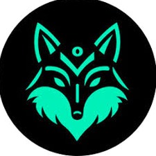 fox2 fox3 资源封面
