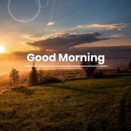 good morning beautiful saturday