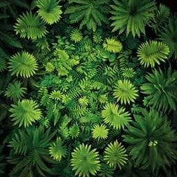 greenworks 资源封面