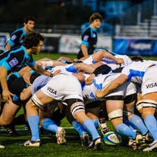 联合橄榄球锦标赛下载电脑版 资源封面