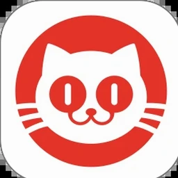 猫眼专业版实时票房 资源封面