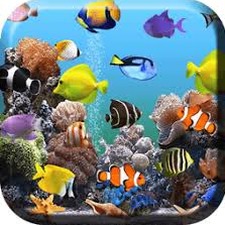 水族馆动态壁纸app 资源封面