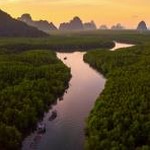 oldroll下载 资源封面