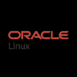 oracle stock price
