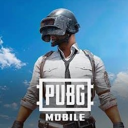 pingmobile包名
