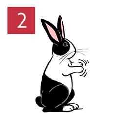rabbit 浏览器下载Windows版 资源封面