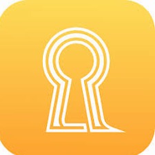 roomis下载