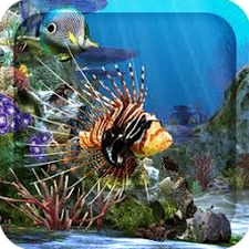水族馆动态壁纸app官网便携版